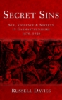 Image for Secret Sins : Sex, Violence and Society in Carmarthenshire 1870-1920