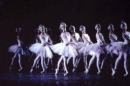 Image for Ballet  : a complete guide