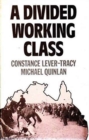Image for Divided Working Class