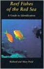 Image for Reef fishes of the Red Sea