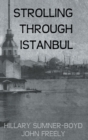 Image for Strolling through Istanbul  : a guide to the city