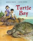 Image for Turtle Bay