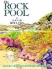 Image for The Rockpool
