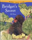Image for Bridget&#39;S Secret