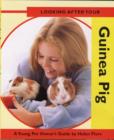 Image for Looking after your guinea pigs  : a young pet owner&#39;s guide