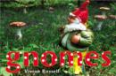 Image for Gnomes