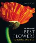 Image for Best flowers to grow and cut
