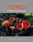 Image for The encyclopedia of fungi of Britain and Europe