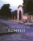 Image for The lost world of Pompeii