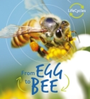 Image for Lifecycles: Egg to Bee