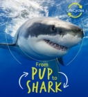 Image for From pup to shark