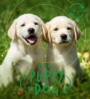 Image for Lifecycles - Pup To Dog