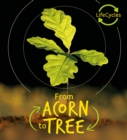 Image for Lifecycles - Acorn to Tree