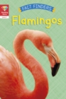 Image for Flamingoes