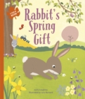 Image for Rabbit&#39;s Spring Gift
