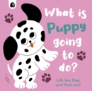 Image for What is puppy going to do?  : lift the flap and find out! : Volume 4