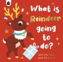 Image for What is reindeer going to do?  : lift the flap and find out! : Volume 6