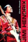 Image for The Jimi Hendrix companion  : three decades of commentary