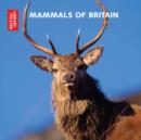 Image for Mammals of Britain : An Audio Introduction to the Mammals of Britain