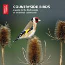 Image for Countryside Birds : A Guide to the Bird Sounds of the British Countryside