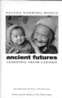 Image for Ancient Futures : Learning From Ladakh