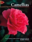 Image for Camellias  : a gardener&#39;s guide to the genus