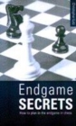 Image for Endgame secrets  : how to plan in the endgame in chess