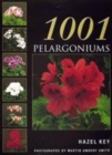 Image for 1001 pelargoniums