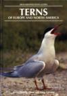 Image for Terns of Europe and North America