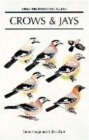 Image for Crows and jays  : a guide to the crows, jays and magpies of the world
