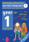 Image for Developing numeracy: Solving problems Year 1