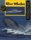 Image for Blue Whales