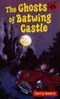 Image for The Ghosts of Batwing Castle