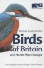 Image for Pocket Guide to the Birds of Britain and North-West Europe