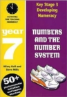 Image for Developing numeracy  : numbers and the number system: Year 7