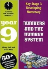 Image for Developing numeracy  : numbers and the number system: Year 9 : Year 9