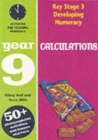 Image for Calculations  : activities for teaching numeracy: Year 9