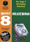 Image for Algebra  : activities for teaching numeracyYear 8
