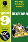 Image for Algebra  : activities for teaching numeracyYear 9
