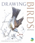 Image for Drawing birds