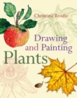 Image for Drawing and painting plants