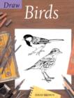 Image for Draw birds
