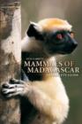 Image for Guide to the Mammals of Madagascar
