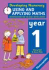 Image for Using and applying maths  : investigations for the daily maths lessons: Year 1
