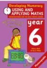Image for Using and Applying Maths: Year 6