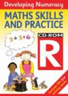 Image for Developing Numeracy: Maths Skills and Practice: Year R