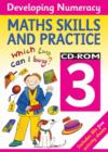 Image for Developing Numeracy : Maths Skills - Year 3