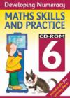 Image for Developing Numeracy: Maths Skills and Practice - Year 6