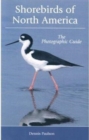 Image for Shorebirds of North America  : a photographic guide