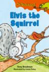 Image for Elvis the Squirrel